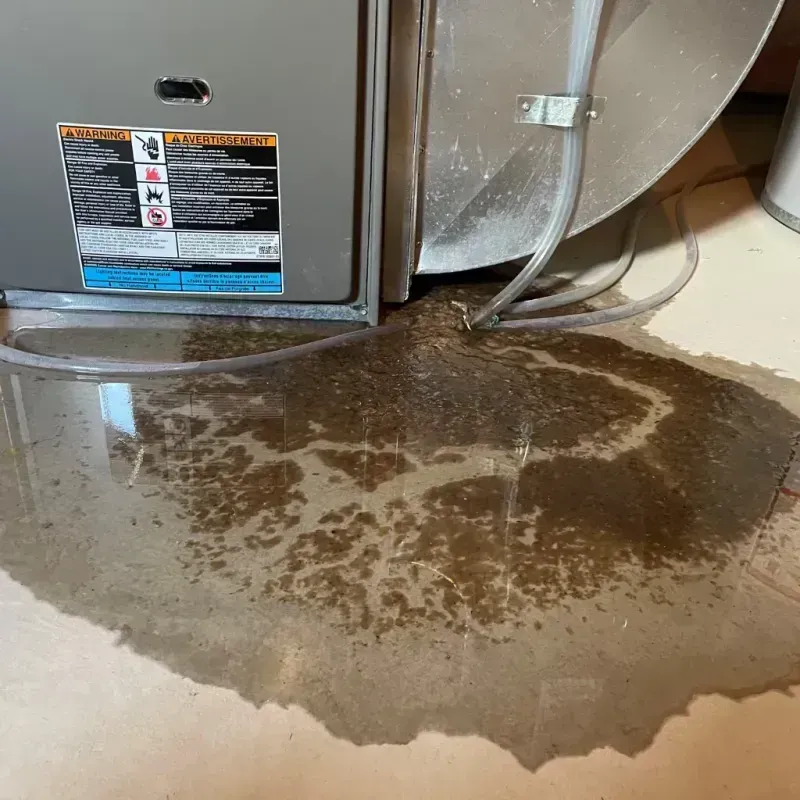 Appliance Leak Cleanup in Munday, TX